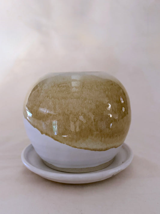 Honey Dip Globe Planter with Saucer