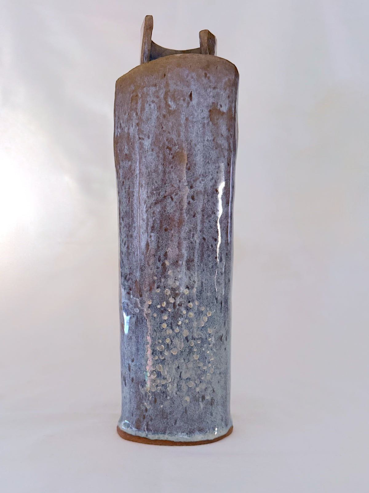 Shielded Vase