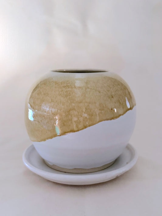 Honey Dip Globe Planter with Saucer